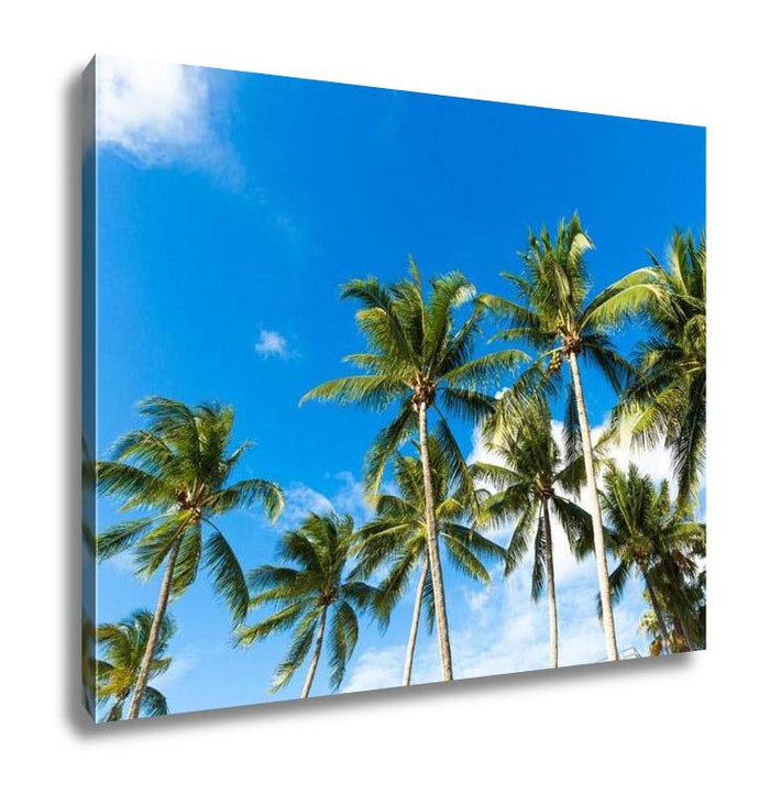 Gallery Wrapped Canvas, Tropical Palm Trees In The Blue Sunny Sky